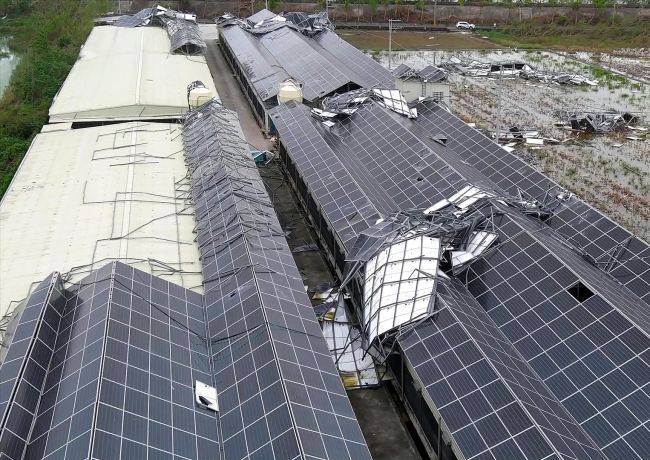 案場預防災害 - 風災篇